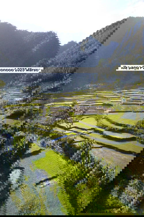 Iba pang mga pananaw 2025 Marso