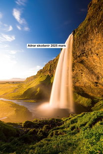Aðrar skoðanir 2025 mars