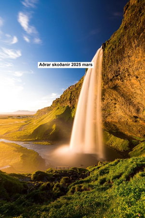 Aðrar skoðanir 2025 mars