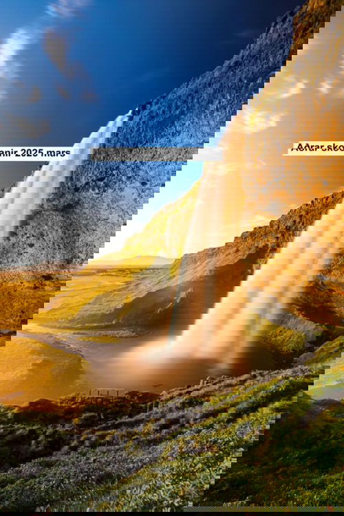 Aðrar skoðanir 2025 mars