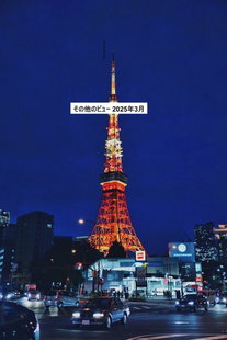 その他のビュー 2025年3月