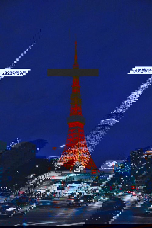 その他のビュー 2025年3月