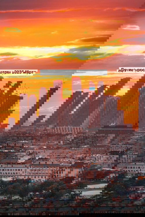 Другие просмотры 2025 Март