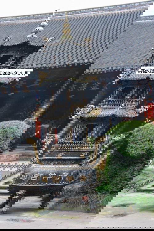 其他观点 2025 年 3 月