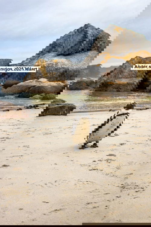 Ander sienings 2025 Maart