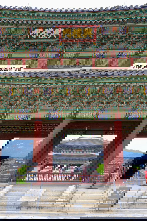 기타 견해 2025년 3월