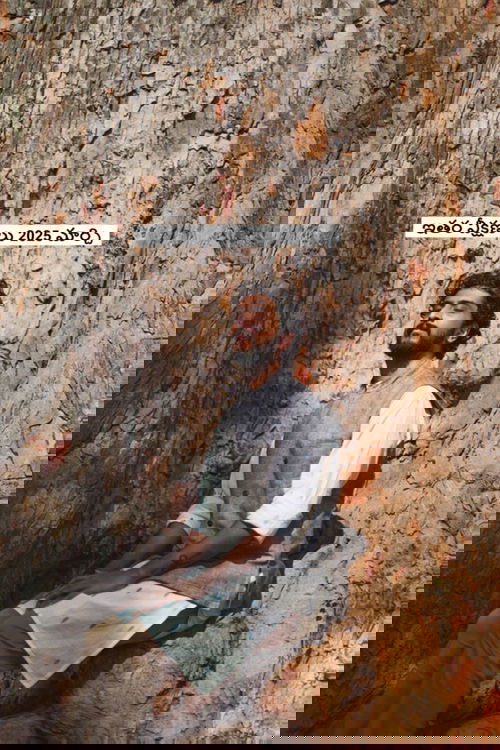 ఇతర వీక్షణలు 2025 మార్చి