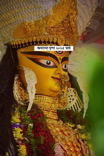 অন্যান্য মতামত ২০২৫ মার্চ