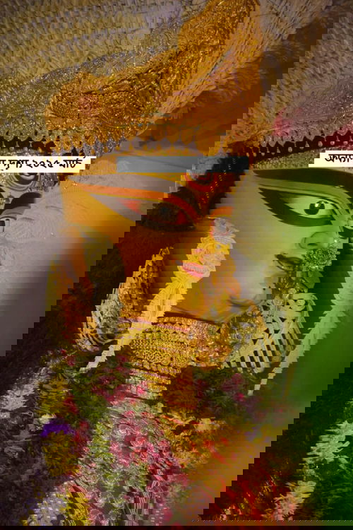 অন্যান্য মতামত ২০২৫ মার্চ