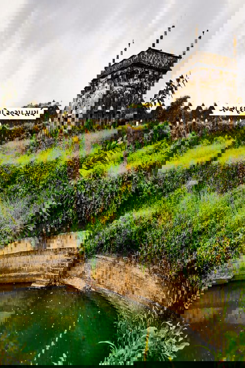 અન્ય દૃશ્યો ૨૦૨૫ માર્ચ