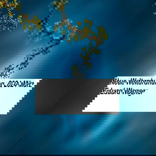 Neue Weltordnung 2024 März