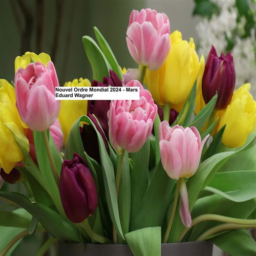 Nouvel Ordre Mondial 2024 Mars