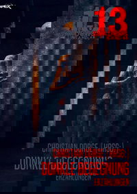 13 SHADOWS, Band 46: DUNKLE BEGEGNUNG