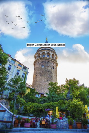 Diğer Görünümler 2025 Şubat