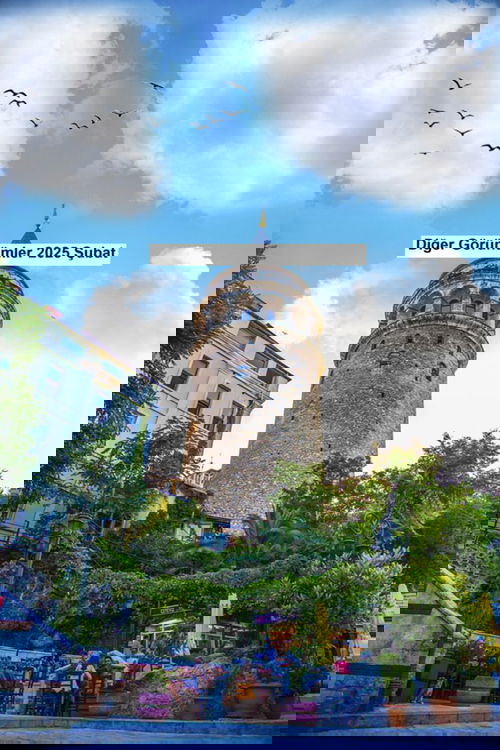 Diğer Görünümler 2025 Şubat