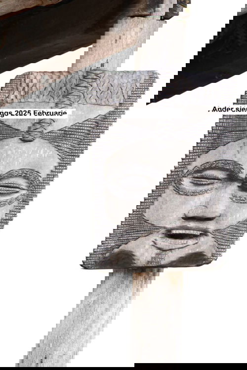 Ander sienings 2025 Februarie