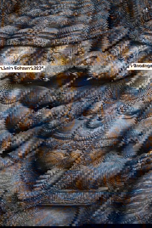 Pandangan Lain Februari 2025