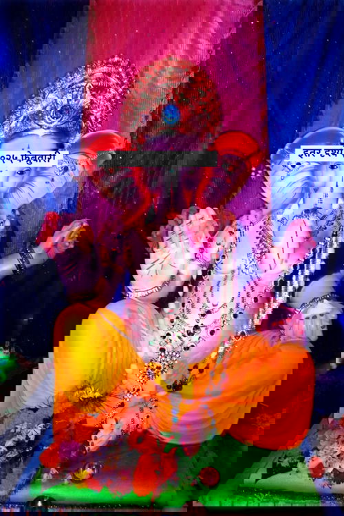 इतर दृश्ये २०२५ फेब्रुवारी