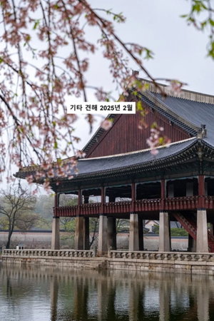 기타 견해 2025년 2월