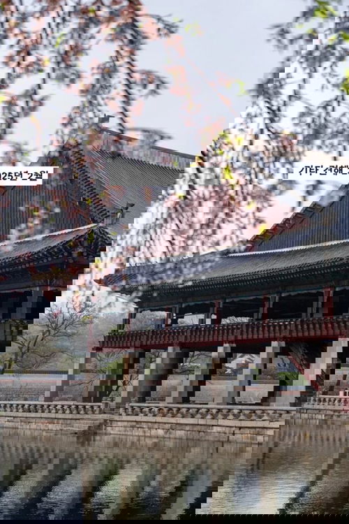 기타 견해 2025년 2월