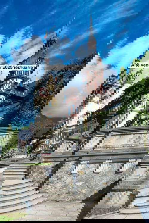 Alte vederi 2025 februarie