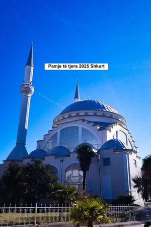 Pamje të tjera 2025 Shkurt
