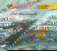 Zagadka Zawiszy Czarnego