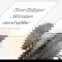 Het wezen van de olifant