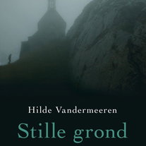 Stille grond