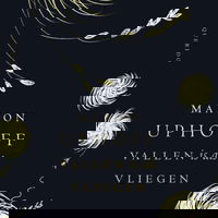 Vallen is als vliegen