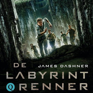 De labyrintrenner