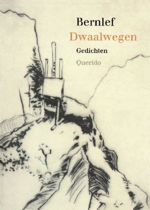 Dwaalwegen