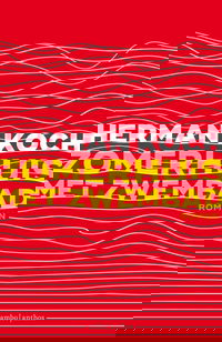 Zomerhuis met zwembad