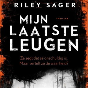 Mijn laatste leugen