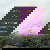 Een vlucht regenwulpen