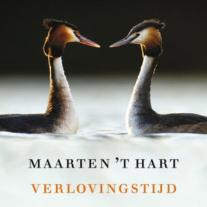Verlovingstijd
