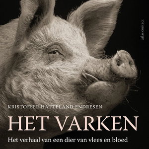 Het varken