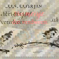 Het meisje dat verdween