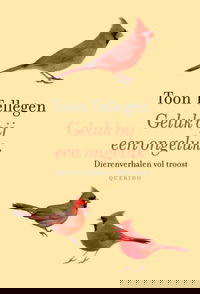 Geluk bij een ongeluk