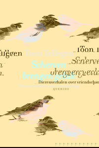 Scherven brengen geluk