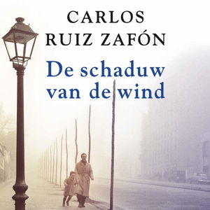 De schaduw van de wind