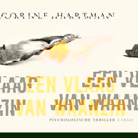 Een vlaag van waanzin