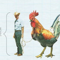 Ongelofelijk! Humanisme in Overijssel - De Ongelofelijke Krimpende Mens