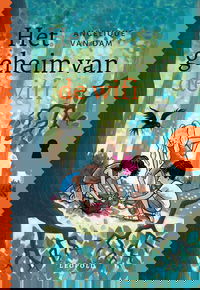 Het geheim van de wifi