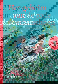 Het geheim van de rode voetbalschoen