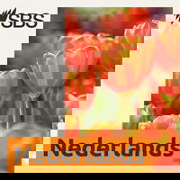 Astrids Boekencast: Schemerleven