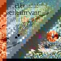 Het geheim van de wifi