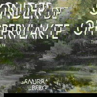 Onder de oppervlakte