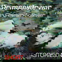 De mooiste van Hans Christian Andersen
