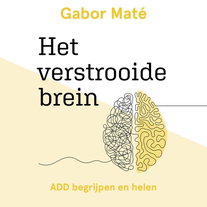 Het verstrooide brein